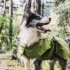 Dog Coats Small Waterproof,Warm Outfit Clothes Dog Jackets Small,Adjustable Drawstring Warm And Cozy Dog Sport Vest-Green size L